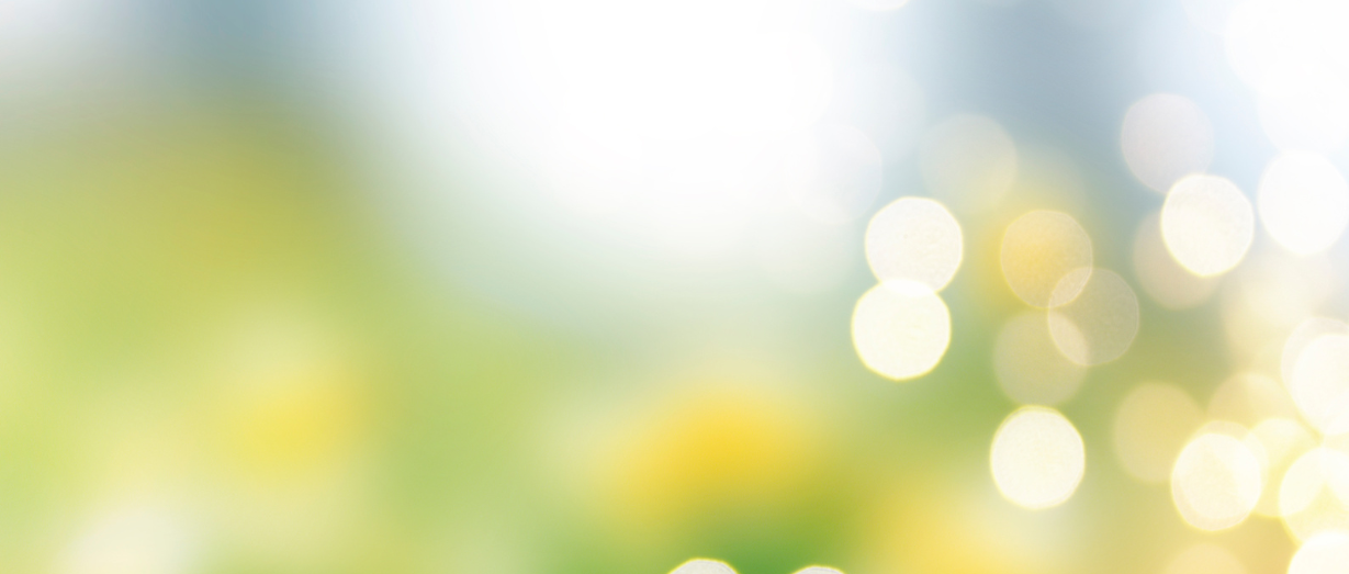 hintergrund-fruhling-2024.8.65df4984388cd
